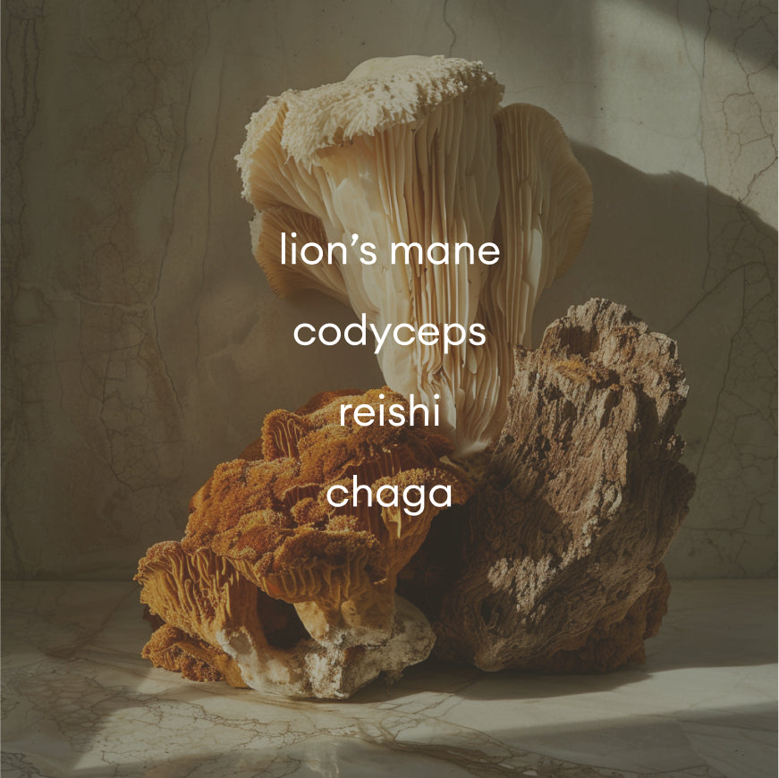 autonomy smart creamer (7 servings, refill)