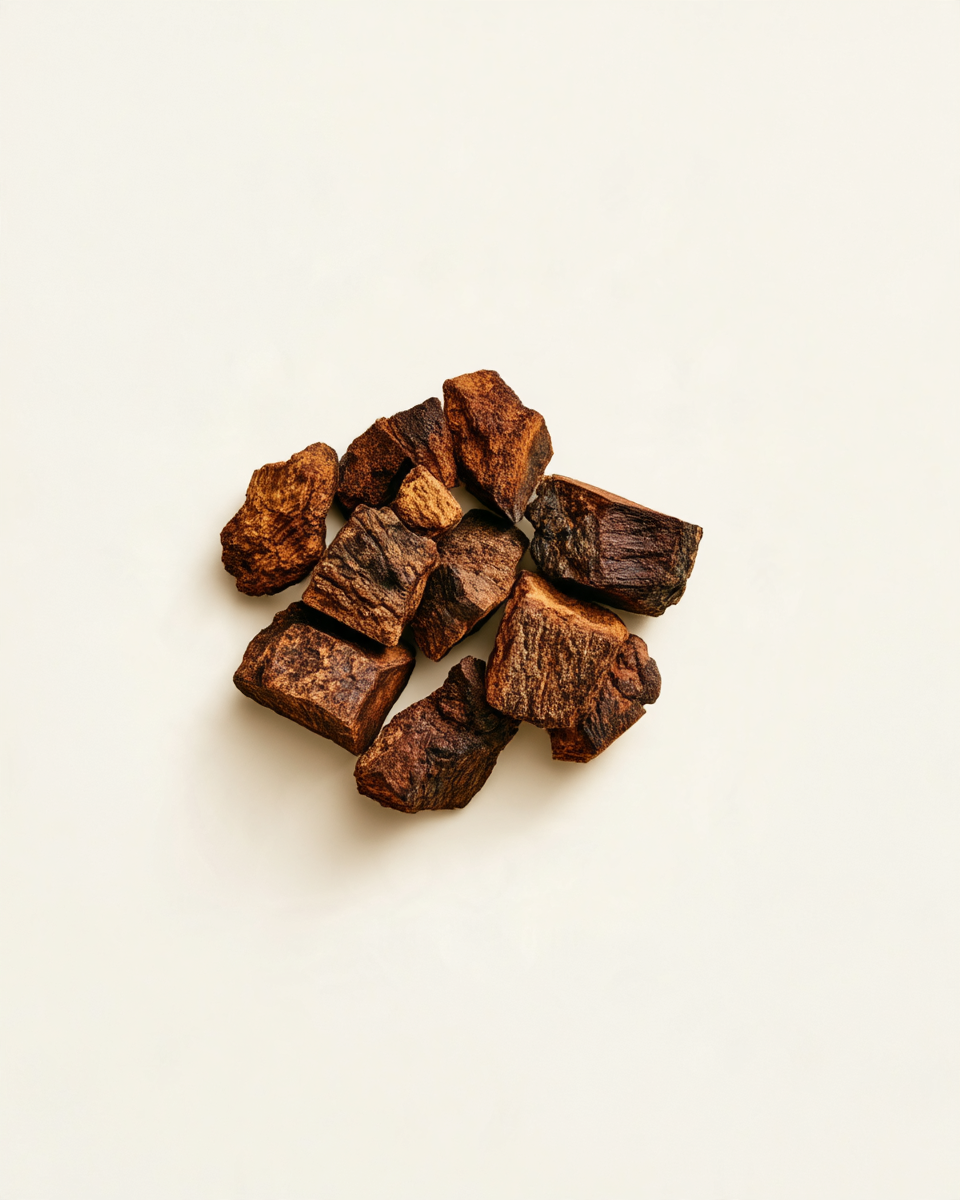 chaga