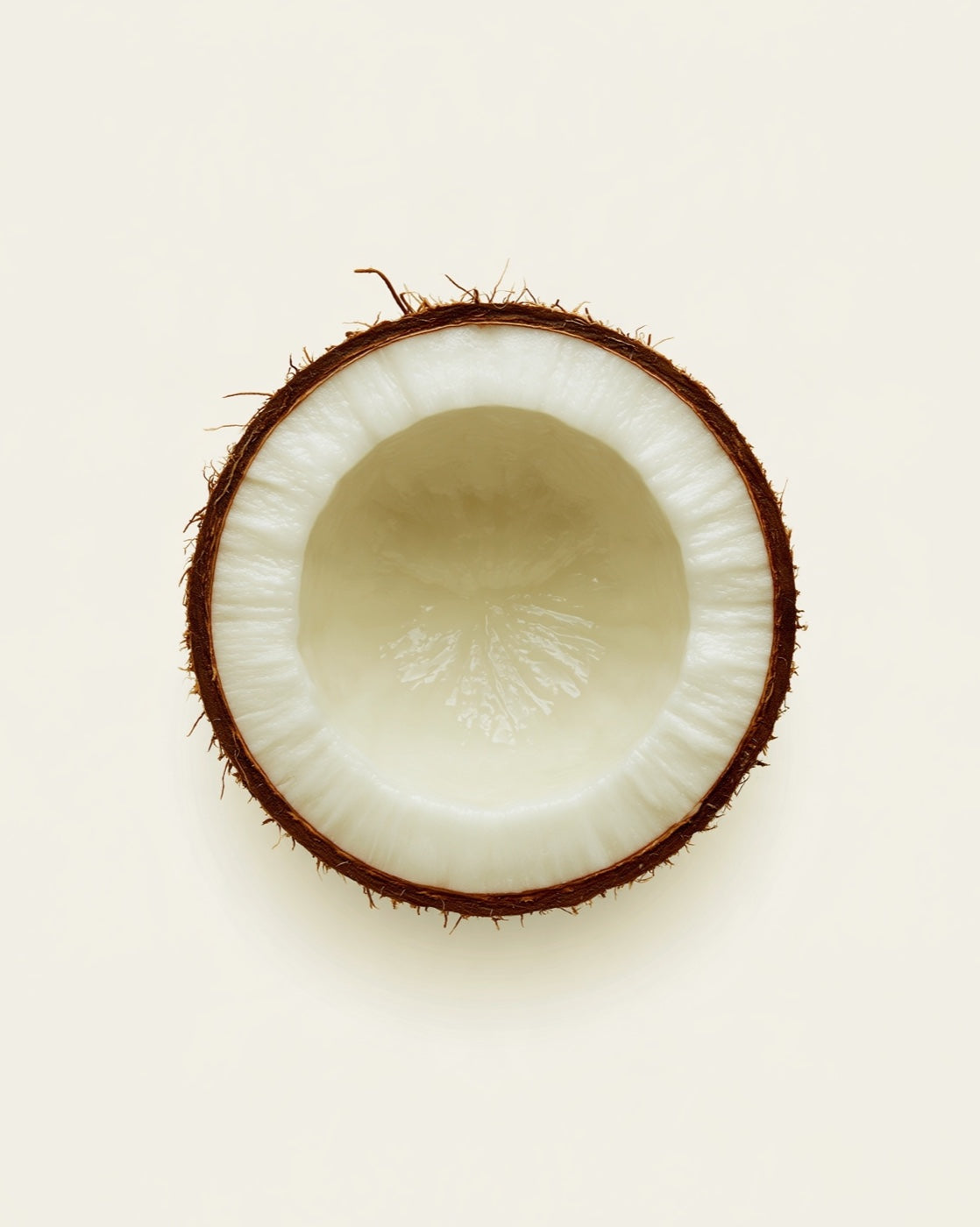 MCT oil