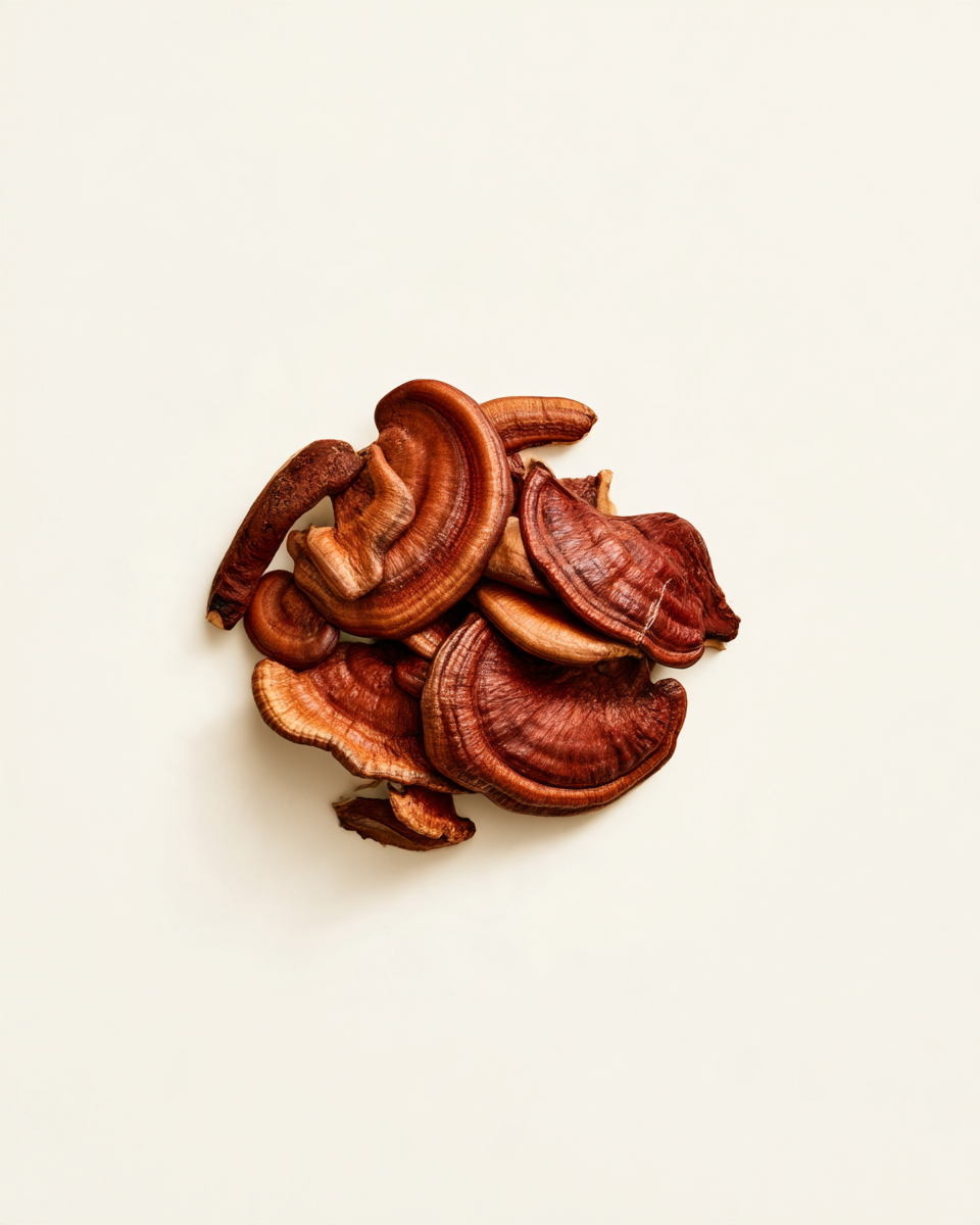reishi